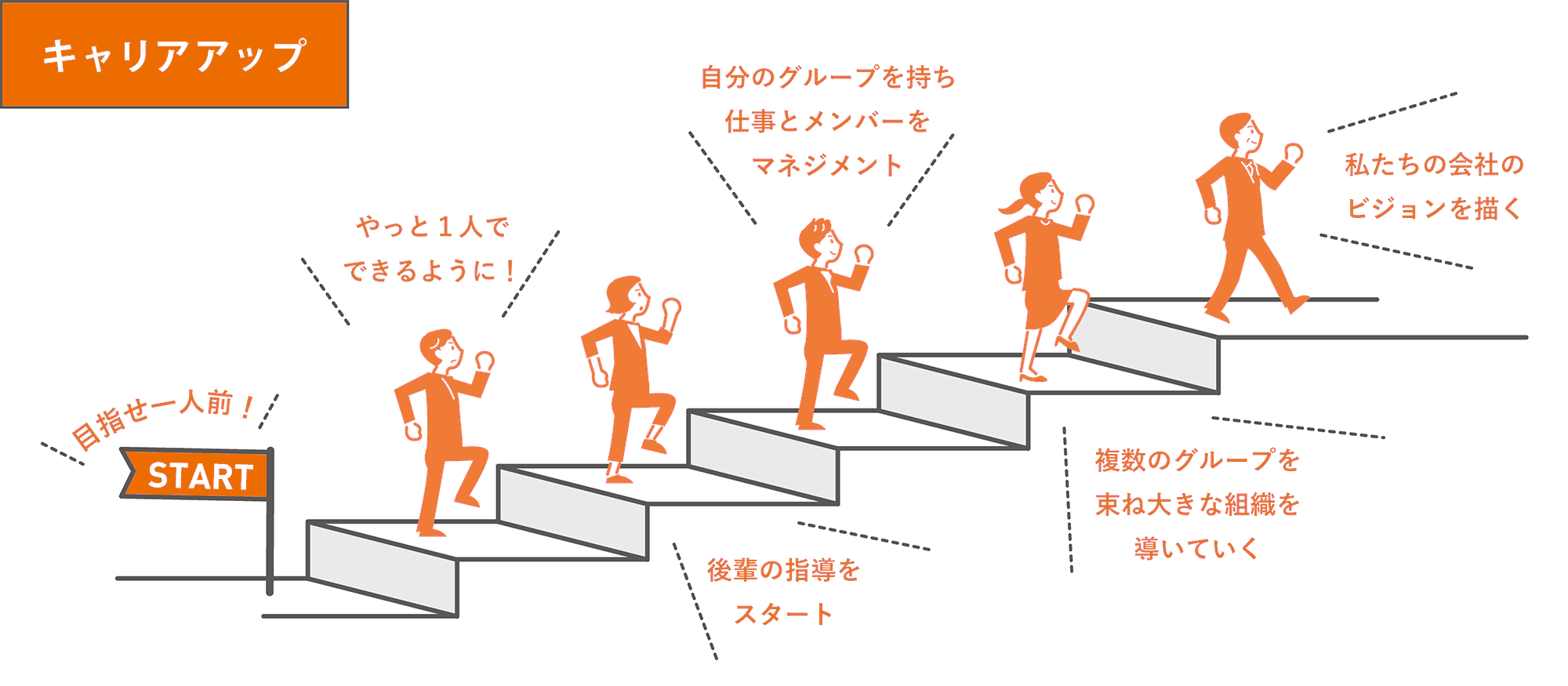 新卒で入社した場合のキャリアステップ